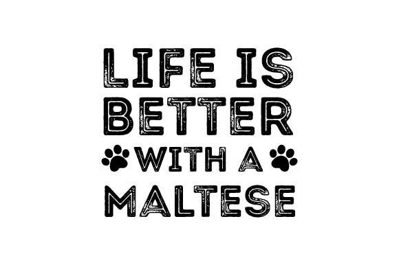 Retro Maltese Dog SVG for T-Shirt Designs and Graphics